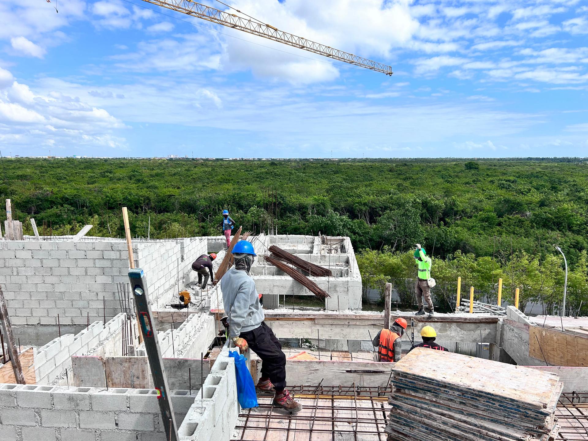 Oasis Cocotal